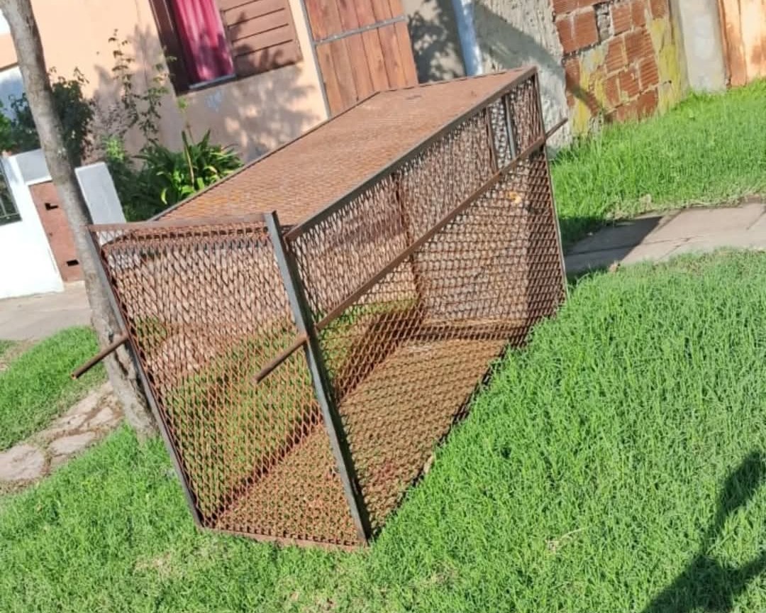 APACH recuperó la jaula sustraída: fue hallada en un zanjón cercano a la escuela agraria