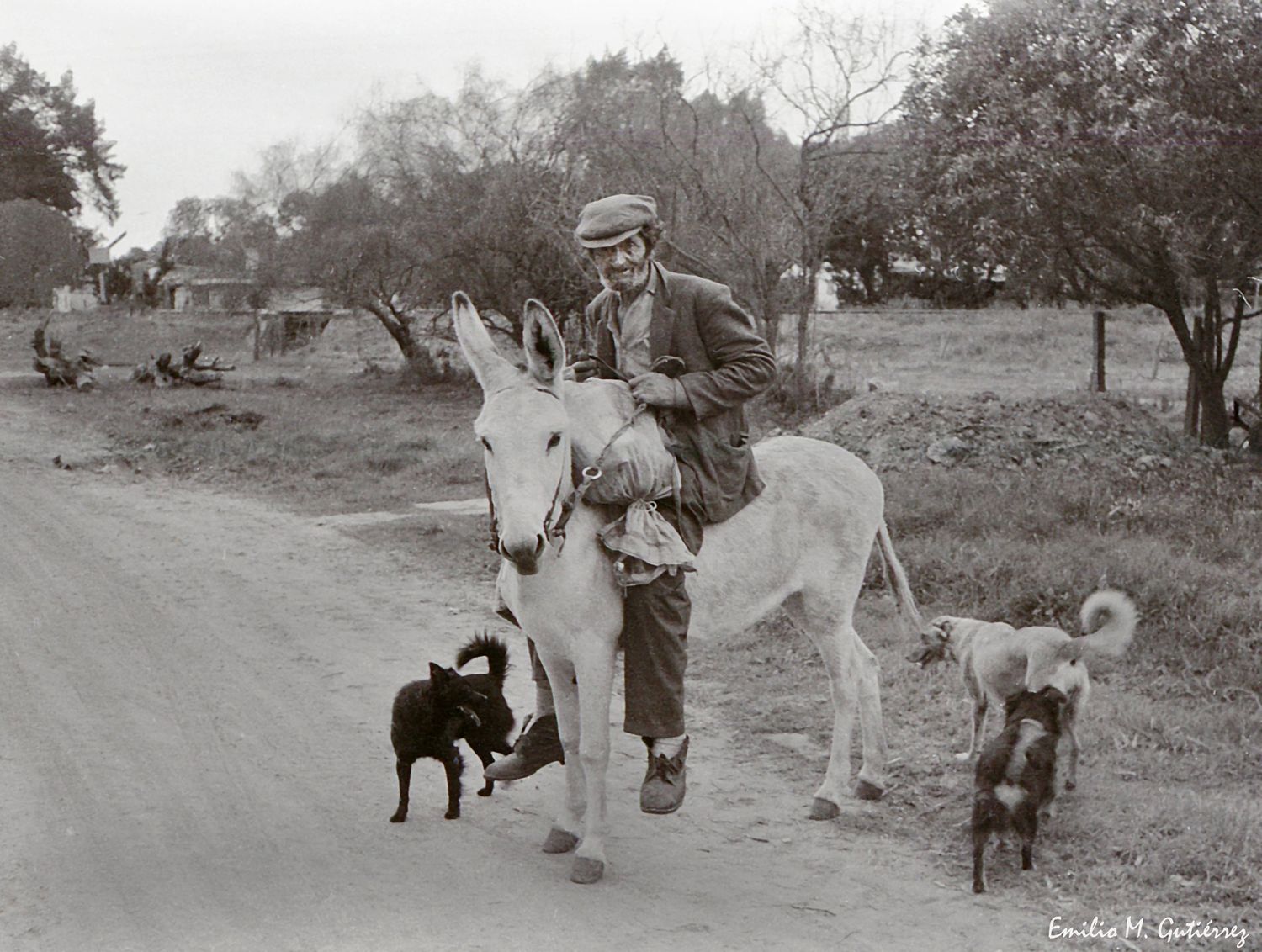 En este domingo de clásicos, un recuerdo que nos abraza el alma: “Manya”, Golondrina y la memoria viva de Chascomús