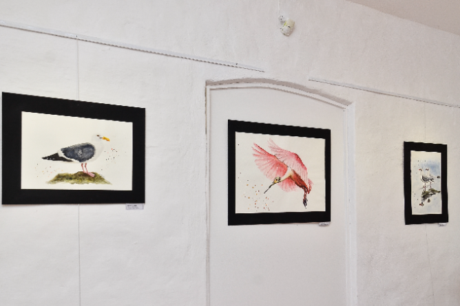 Proyectos de artes visuales de la municipalidad: los artistas inscriptos serán parte de la programación 2025