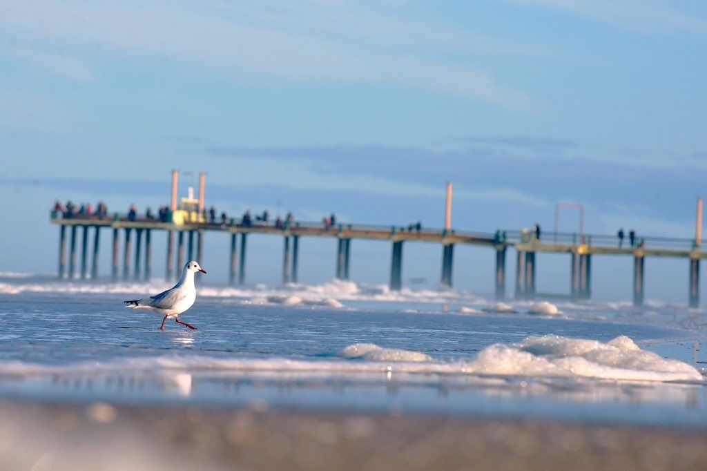 Intendentes bonaerenses le piden al Congreso que el 12 de octubre sea feriado largo