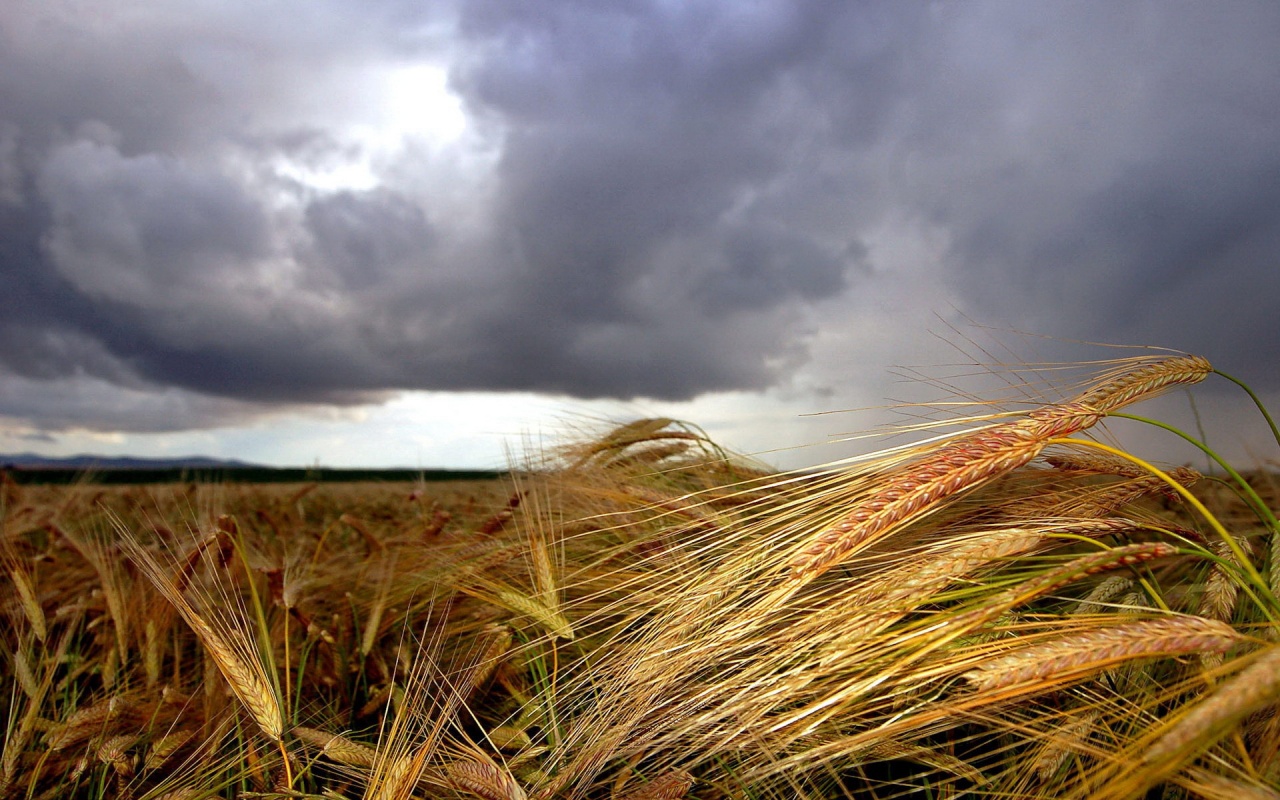 Lluvias y temperaturas: ¿cómo será la tendencia climática para mayo, junio y julio en distritos bonaerenses?