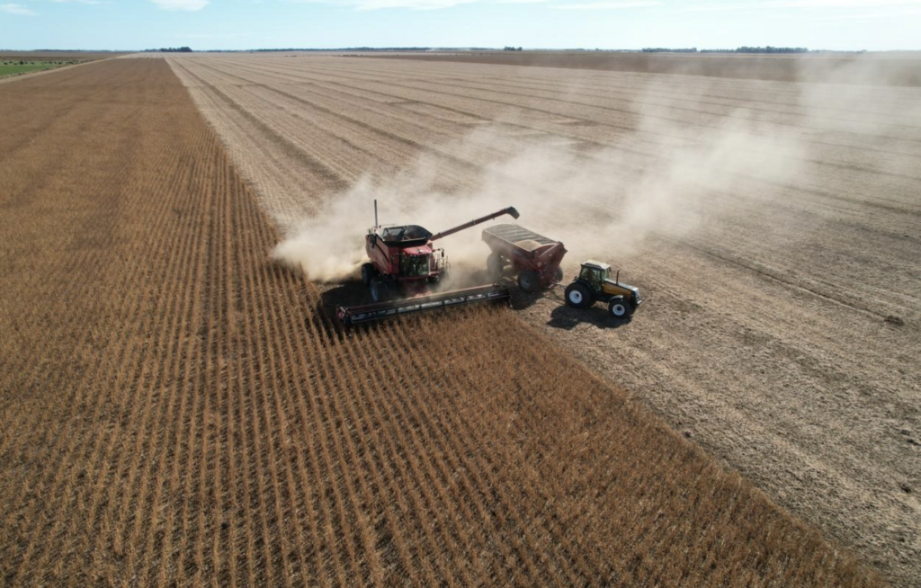 El Gobierno mantiene las retenciones para trigo y cebada pero sube las de soja y maíz