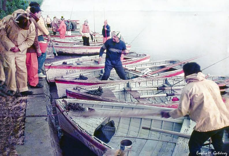 “Mis Recuerdos”: La niebla y los botes, testigos de la tradición pesquera de Chascomús