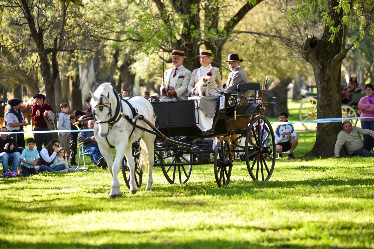 Con gran marco de público celebró el 11° Encuentro del Caballo y el Carruaje