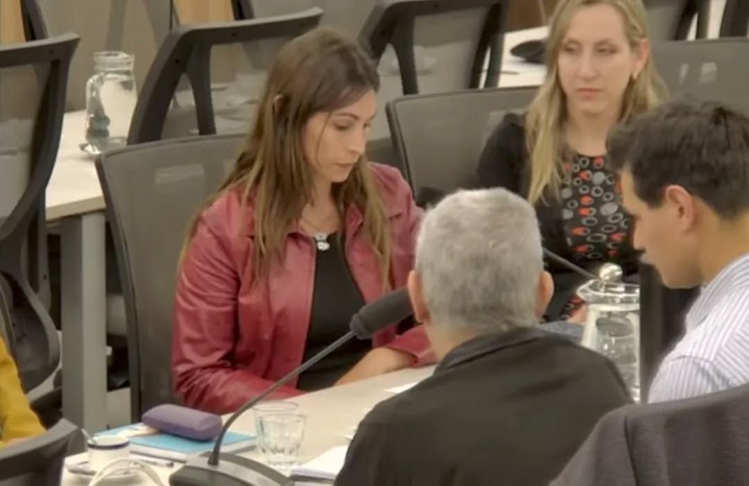 Sol Francese pidió en el Congreso una reforma profunda del sistema de salud tras la tragedia del fentanilo contaminado