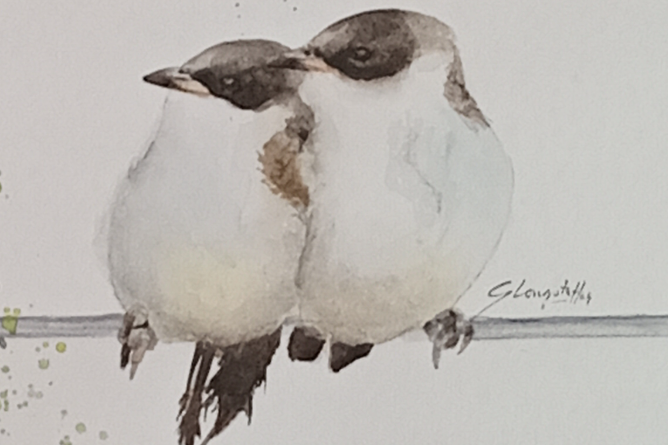 Este viernes se inaugura la Muestra Pictórica “Pajaritos en la Cabeza”