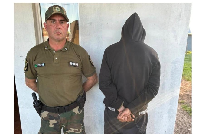 Chascomús: Allanamiento en la zona rural por carreras de galgos y caza ilegal