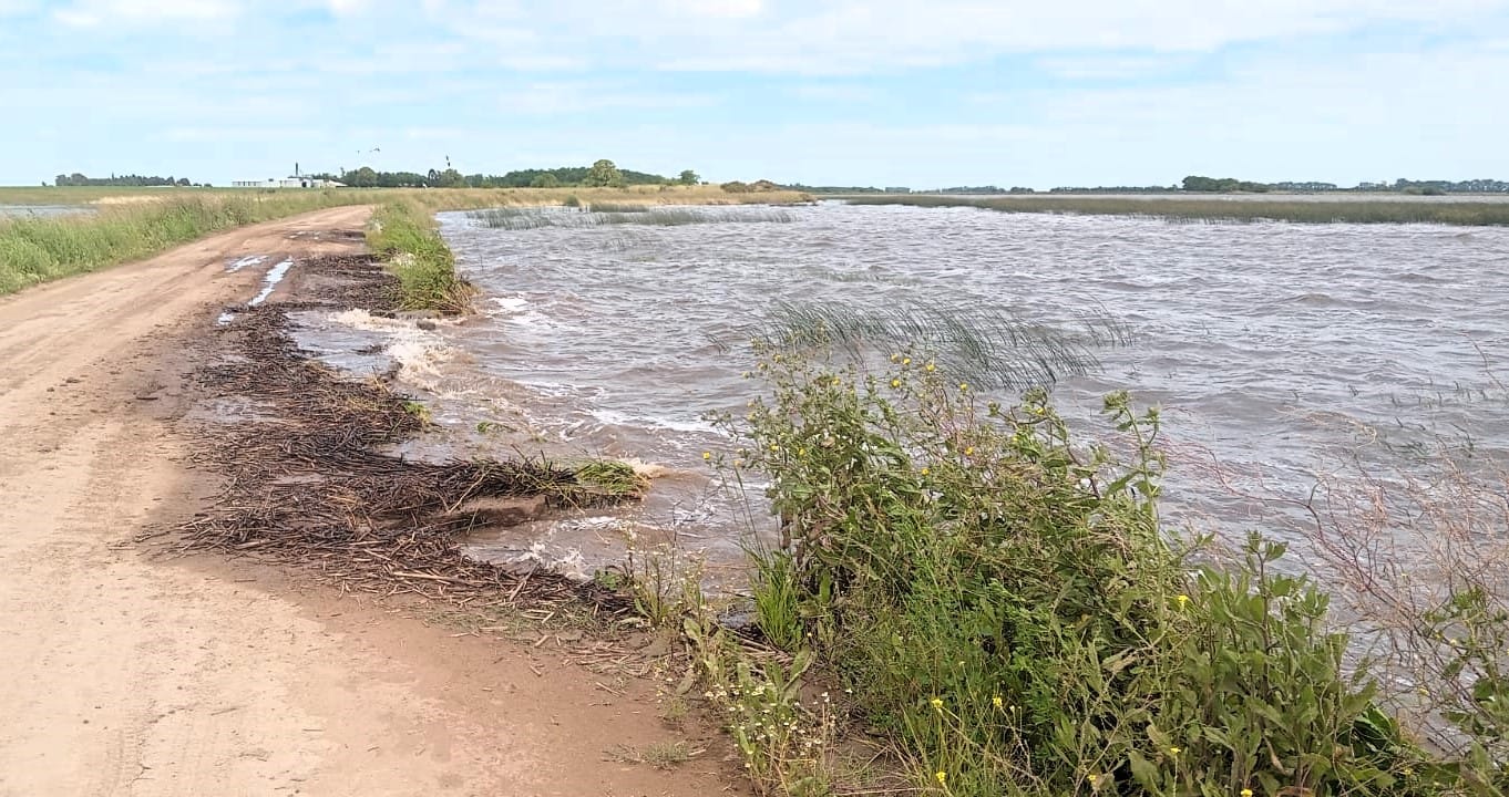 Camino de la Horqueta