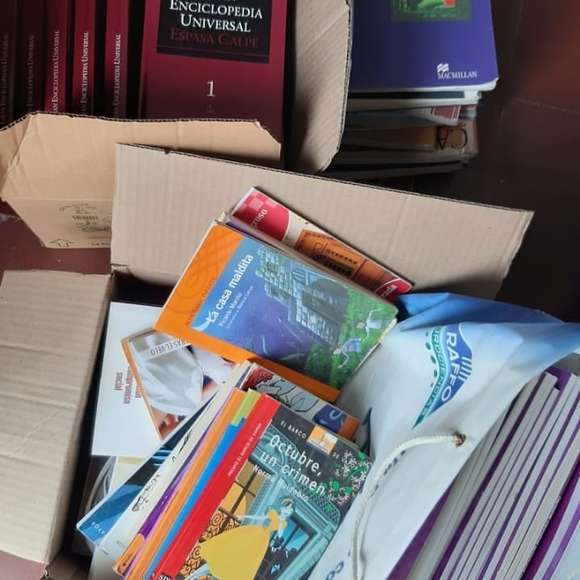 Desde el Rotary Club Chascomús iniciaron campaña permanente de donación de libros