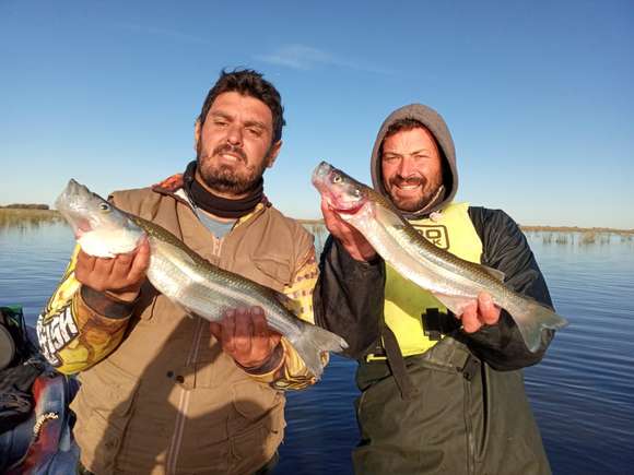 Chascomunenses por lagunas de la zona: Excelente pesca de pejerrey en el pesquero Las Barrancas de Lezama
