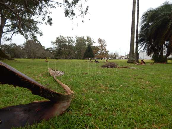 Ante intensa lluvia: Una familia de Chascomús debió ser evacuada por el estado de la vivienda