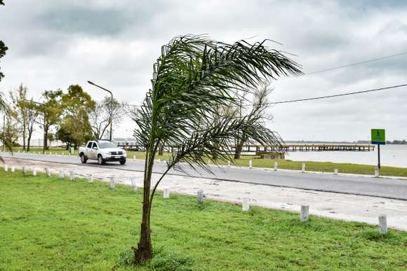 Prevenciones generales ante alerta meteorológico de fuertes vientos y lluvias en Chascomús