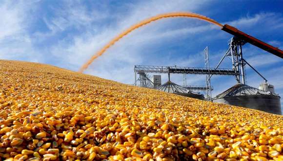 Las exportaciones de maíz están abiertas: La Argentina va a exportar un récord histórico de 38,5 millones de toneladas