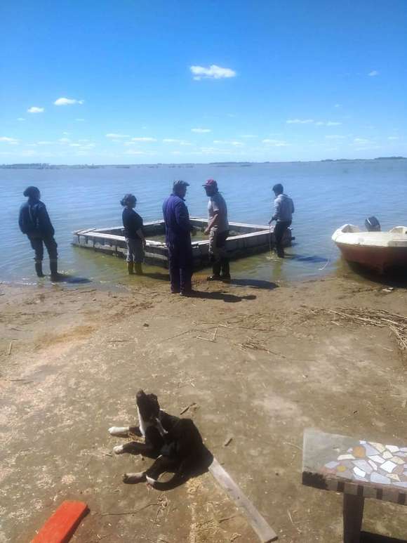 Lezama: Se repararon jaulas flotantes para la siembra de pejerrey en Laguna La Salada Monasterio