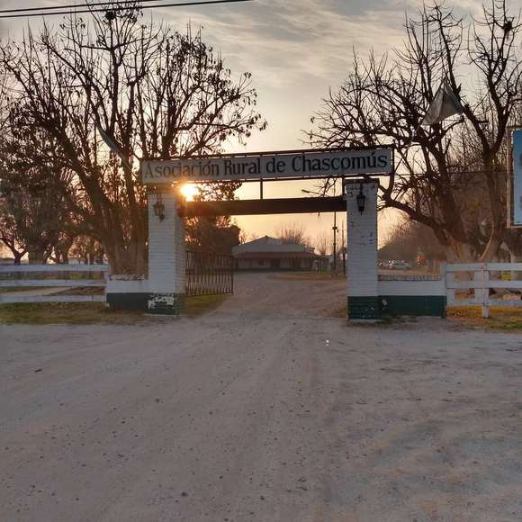 Robaron cables del predio de la Asociación Rural de Chascomús
