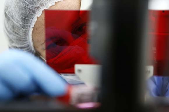 Ocho proyectos locales aprobados en una convocatoria especial de la UNLP-CONICET-UNAJ