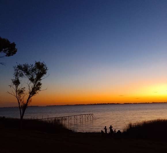 Día Mundial de los Humedales: Este miércoles se llevará a cabo una jornada de limpieza colectiva en la laguna de Chascomús