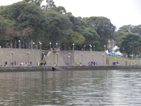 Las cianobacterias llegaron a la laguna de Chascomús y hay alerta “amarillo”