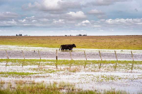 Declaran “estado de emergencia” por inundación para algunos campos de Dolores