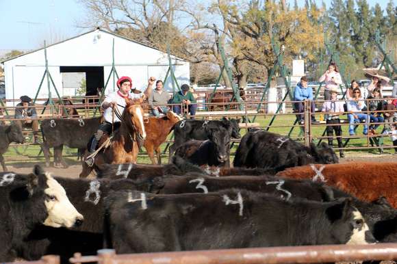 Anuncian una exposición ganadera en la Asociación Rural de Chascomús