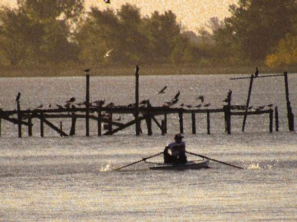 “Pintando Chascomús”: Se realizará el primer concurso de manchas paisajista al aire libre