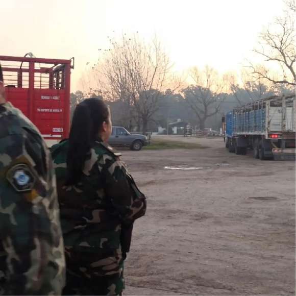 Fueron retirados los animales que permanecían en la Asociación Rural de Chascomús