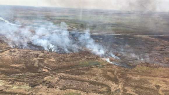 Incendios forestales: informan sobre dos focos en la provincia de Buenos Aires￼￼