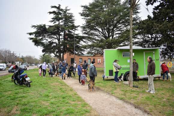 El quirófano móvil municipal se instalará en plaza la Barraca