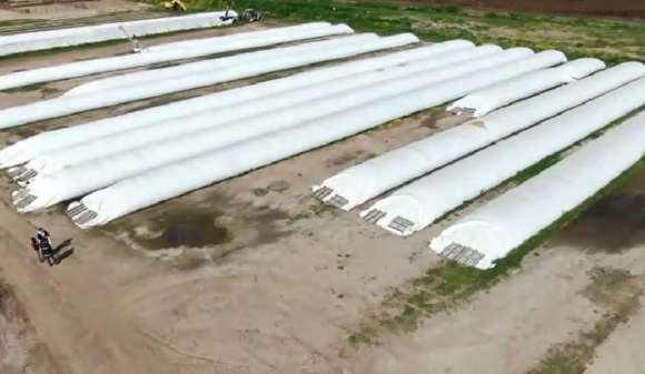 La AFIP incautó casi 3.000 toneladas de granos de maíz sin declarar en Lezama