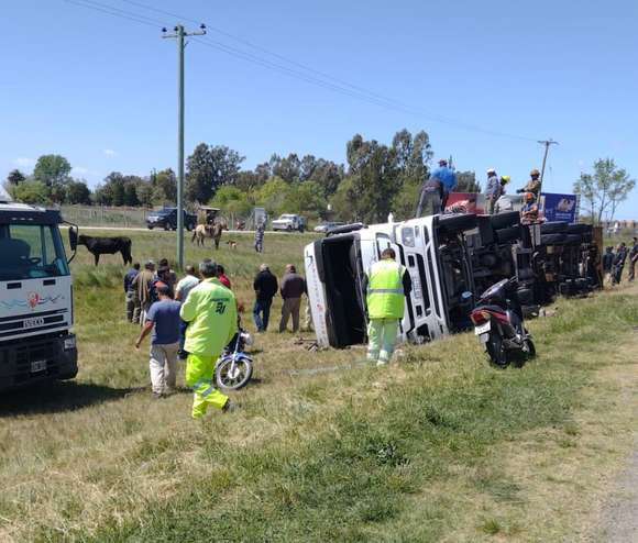 Camión de frigorífico de Chascomús que transportaba animales volcó en ruta 2