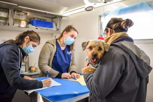 En barrio La Esmeralda cierra el año el programa municipal de Castración Gratuita