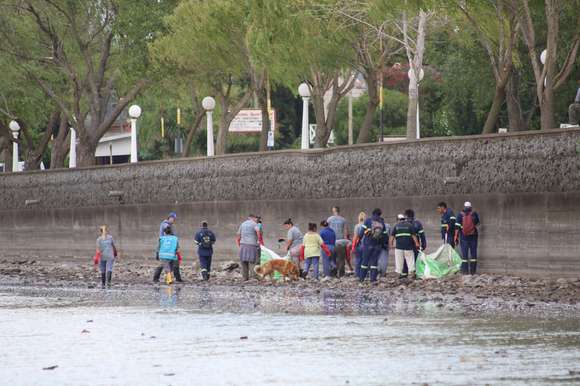 Tierra resquebrajada: la sequía genera nuevas postales en las lagunas bonaerenses