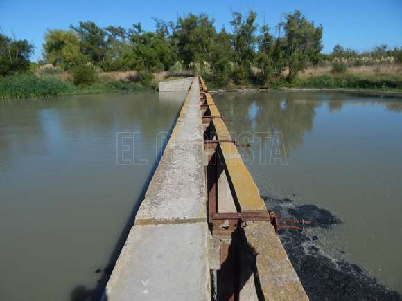La laguna de Chascomús se encuentra en riesgo medio de cianobacterias