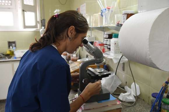 En la semana de la lucha contra la triquinosis se refuerzan recomendaciones