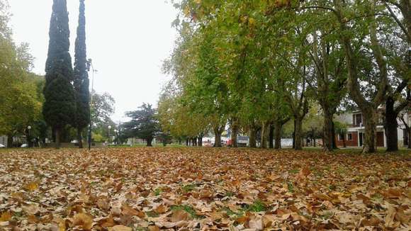 Museo de Arte Natural de Otoño en Chascomús: De la mano de la naturaleza