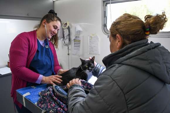 El programa municipal de castración de mascotas otorgó más de 60 turnos en el barrio 30 de Mayo