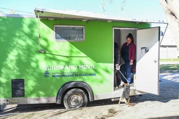 Este jueves se realizará la entrega de turnos para la castración de mascotas en el Acceso Norte