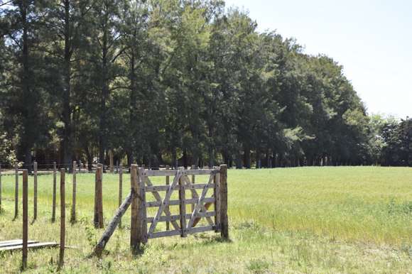 Provincia lanza asistencia económica para arrendatarios afectados por la sequía