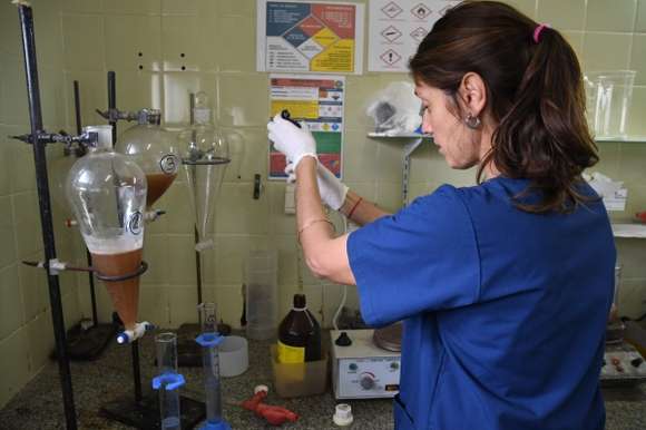 Precauciones por casos de Triquinosis: “Todos los establecimientos que críen cerdos deben poseer su RENSPA”