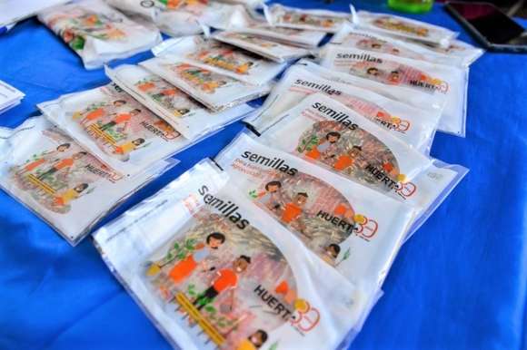 Entrega de semillas de temporada del programa Pro Huerta en Chascomús