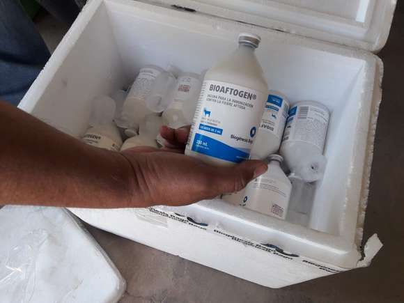 La voz del productor: Gasoil restringido y vacunas de aftosa carísimas