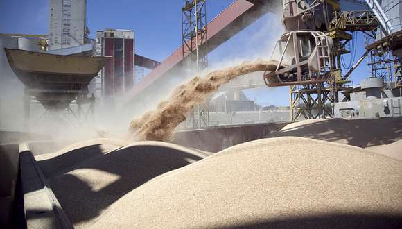 Clave: Las exportaciones del complejo sojero subirán 125% en 2024