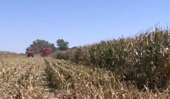 Aseguran que el agua no será un factor limitante para la campaña gruesa