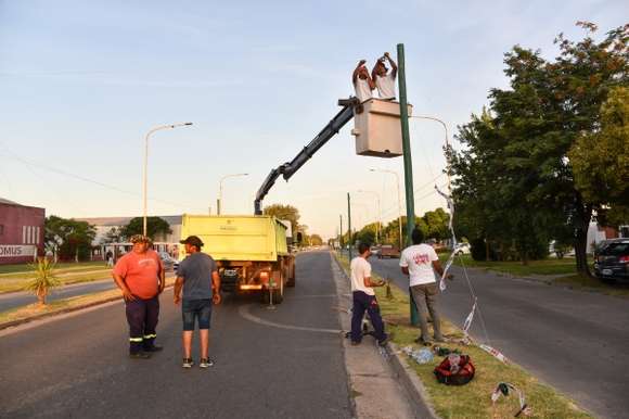 El ave emblema de Chascomús será la temática del carnaval infantil