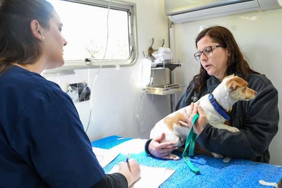 Este jueves continúa el cronograma de castración gratuita de mascotas en el Iporá
