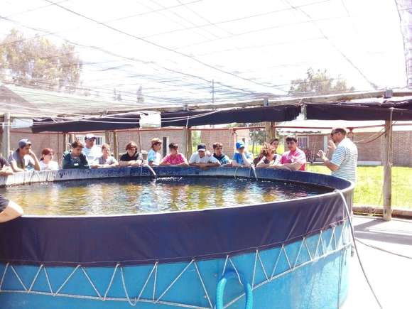 Laguna de Gómez: después de la seca, se trabaja en la resiembra del pejerrey