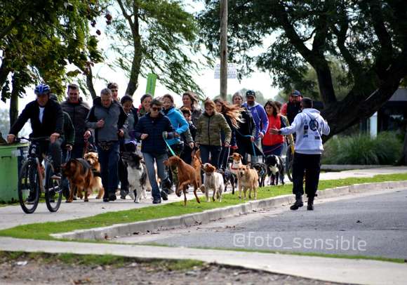 Éxito en el Día del Animal: La comunidad de Chascomús se une en Evento de Adiestramiento Canino