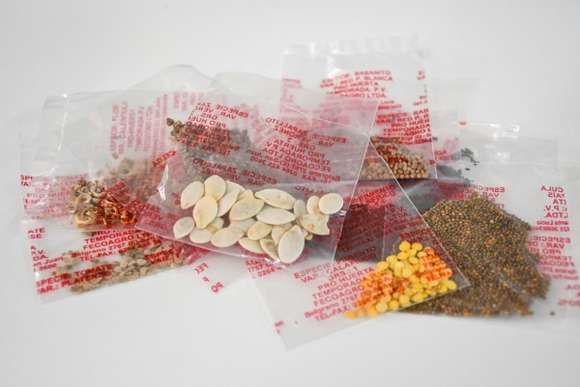 Lanzamiento del banco municipal de intercambio de semillas en Chascomús