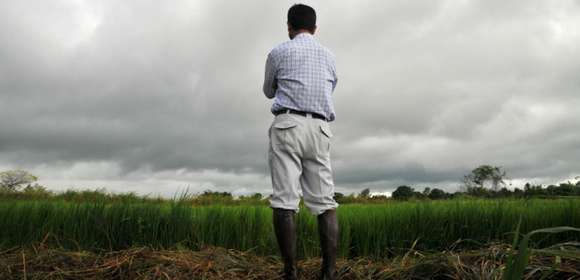 Mayo llegó con más incertidumbre para la ganadería y la agricultura. El productor local ya pregunta: ¿Qué va a pasar?