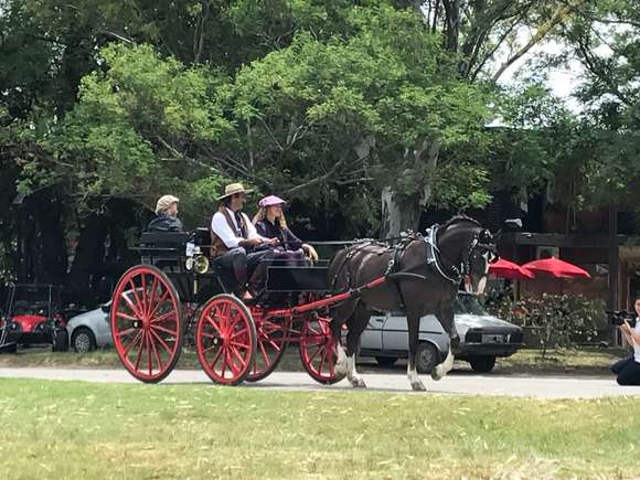 Se viene el décimo Encuentro del Caballo y el Carruaje de Chascomús